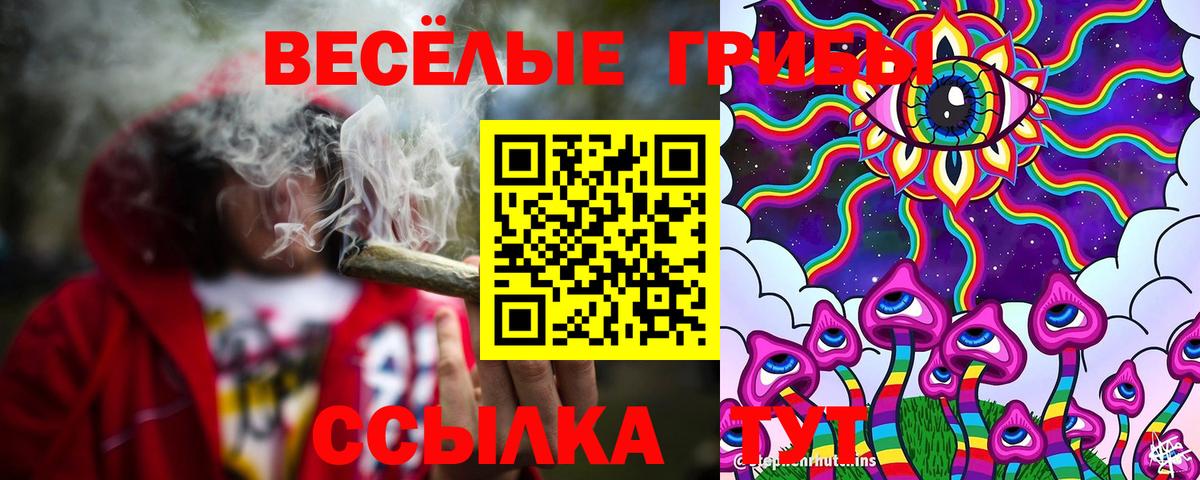 магазин продажи   Вход с VPN  Сегежа  Псилоцибиновые грибы Cubensis 